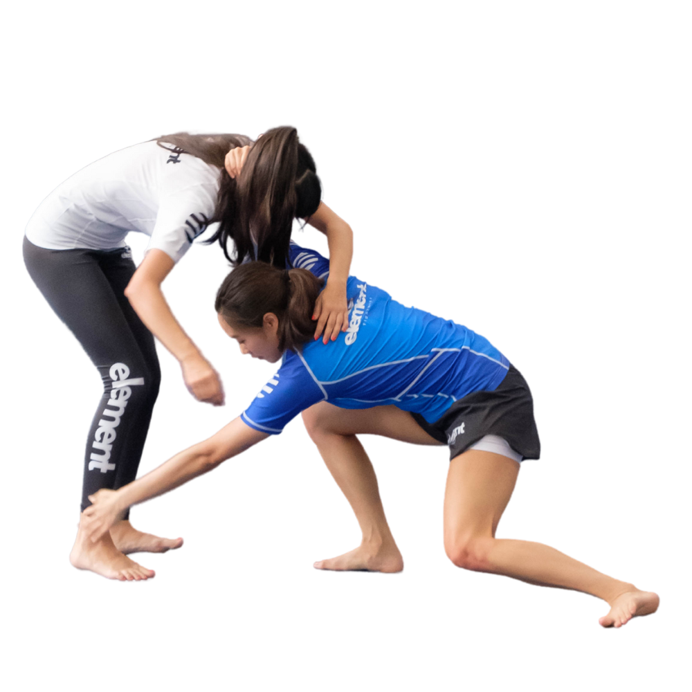 NoGi category